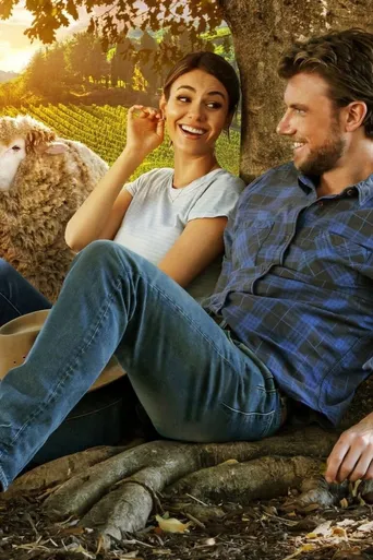 Combinação Perfeita