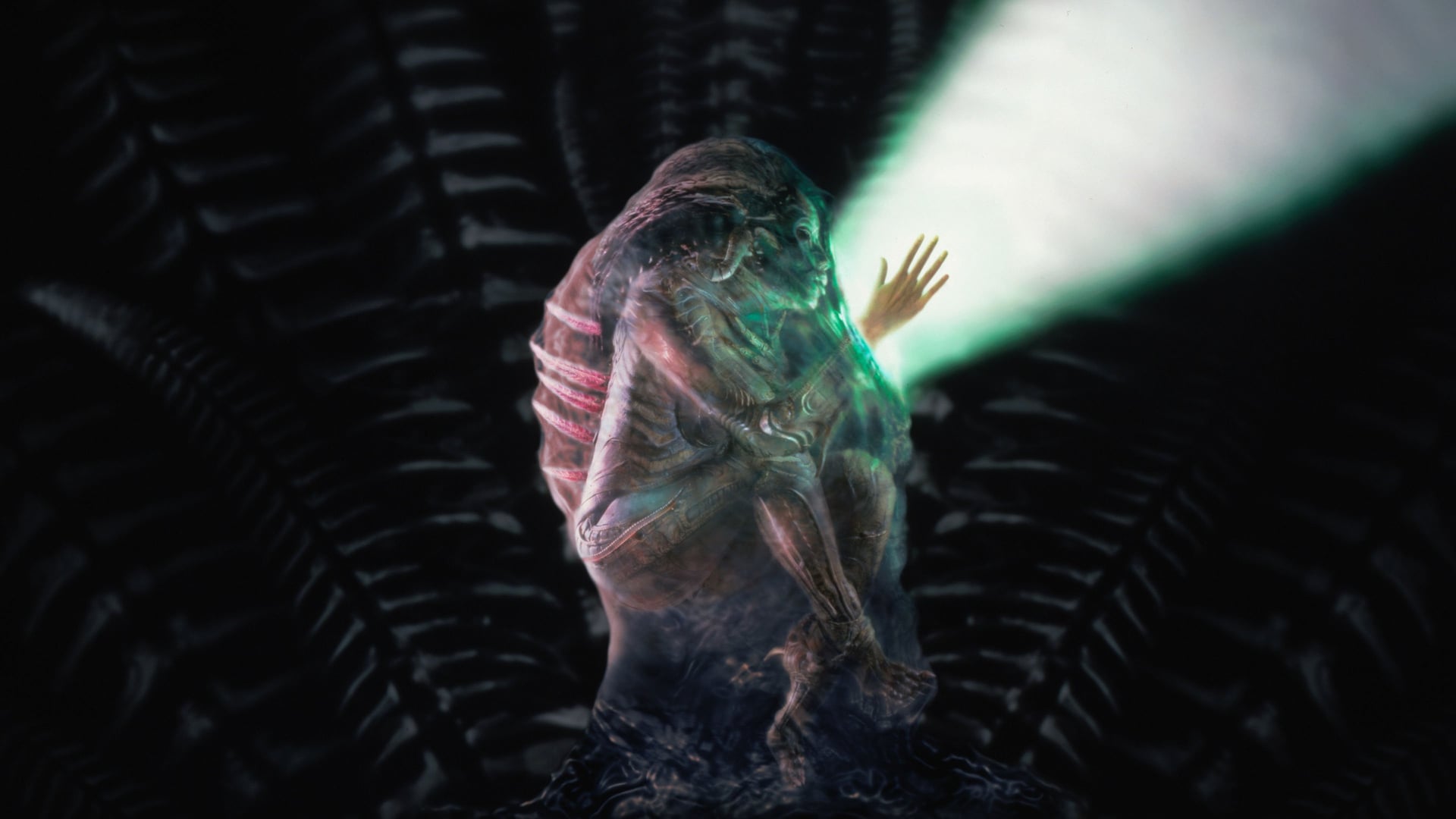 Foto do filme A Experiência