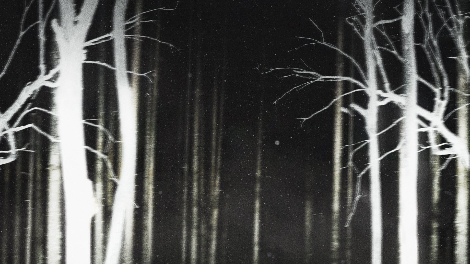 Foto do filme Terror em Shelby Oaks