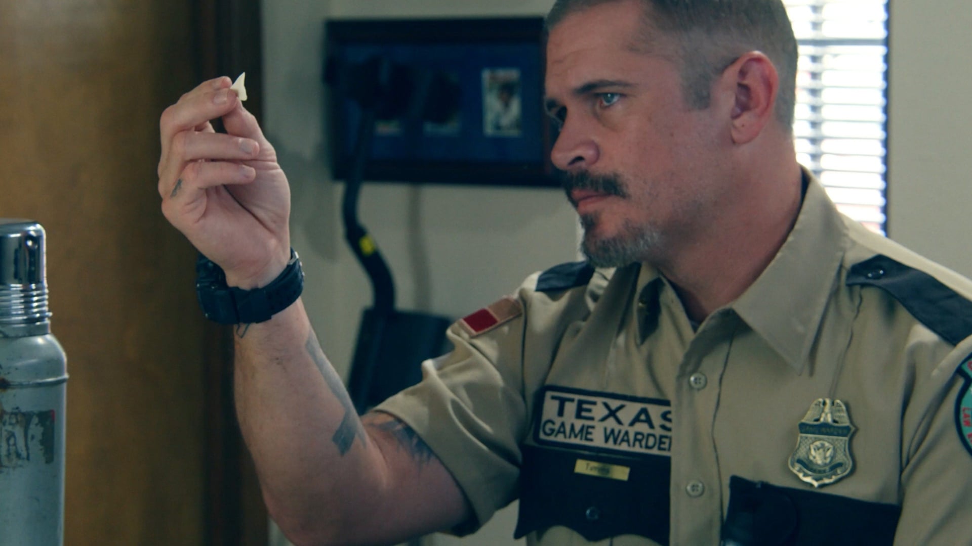 Foto do filme Tubarão Touro