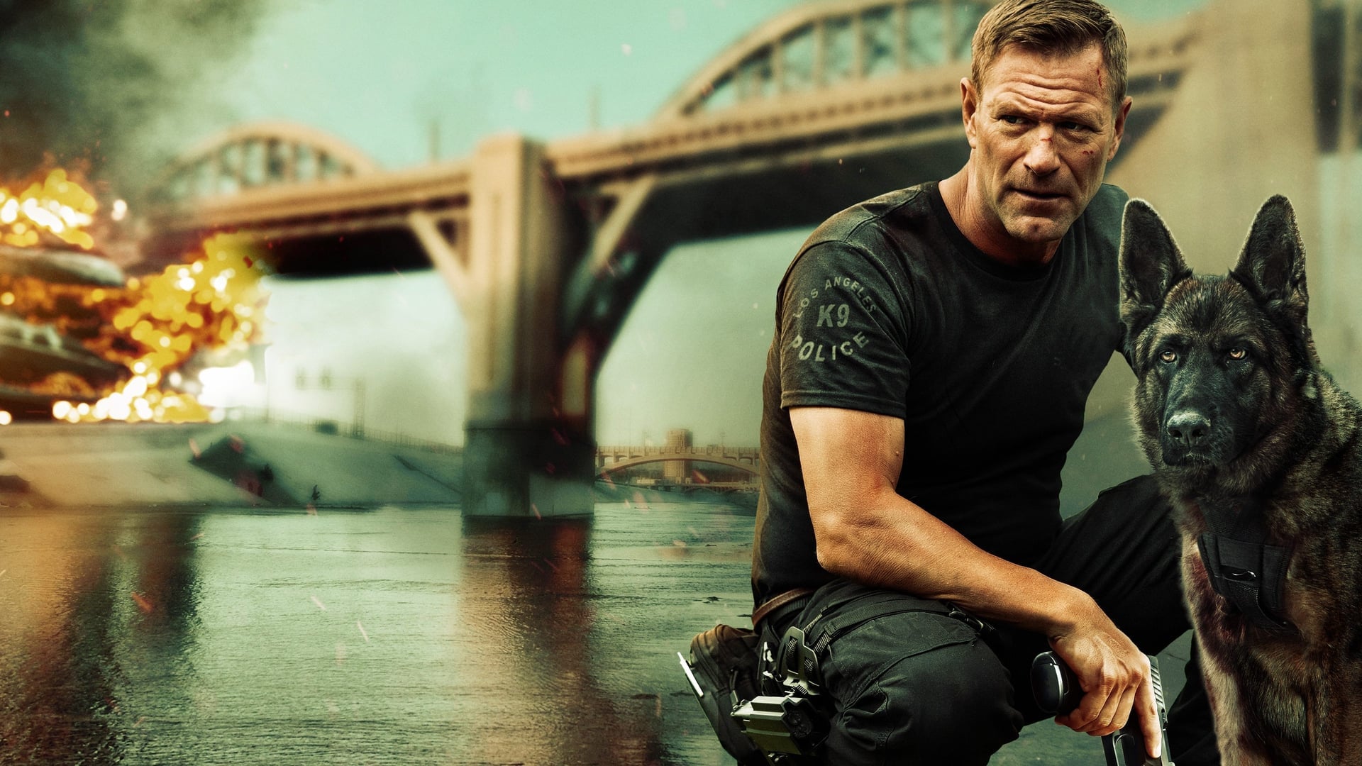 Foto do filme Farejando Vingança