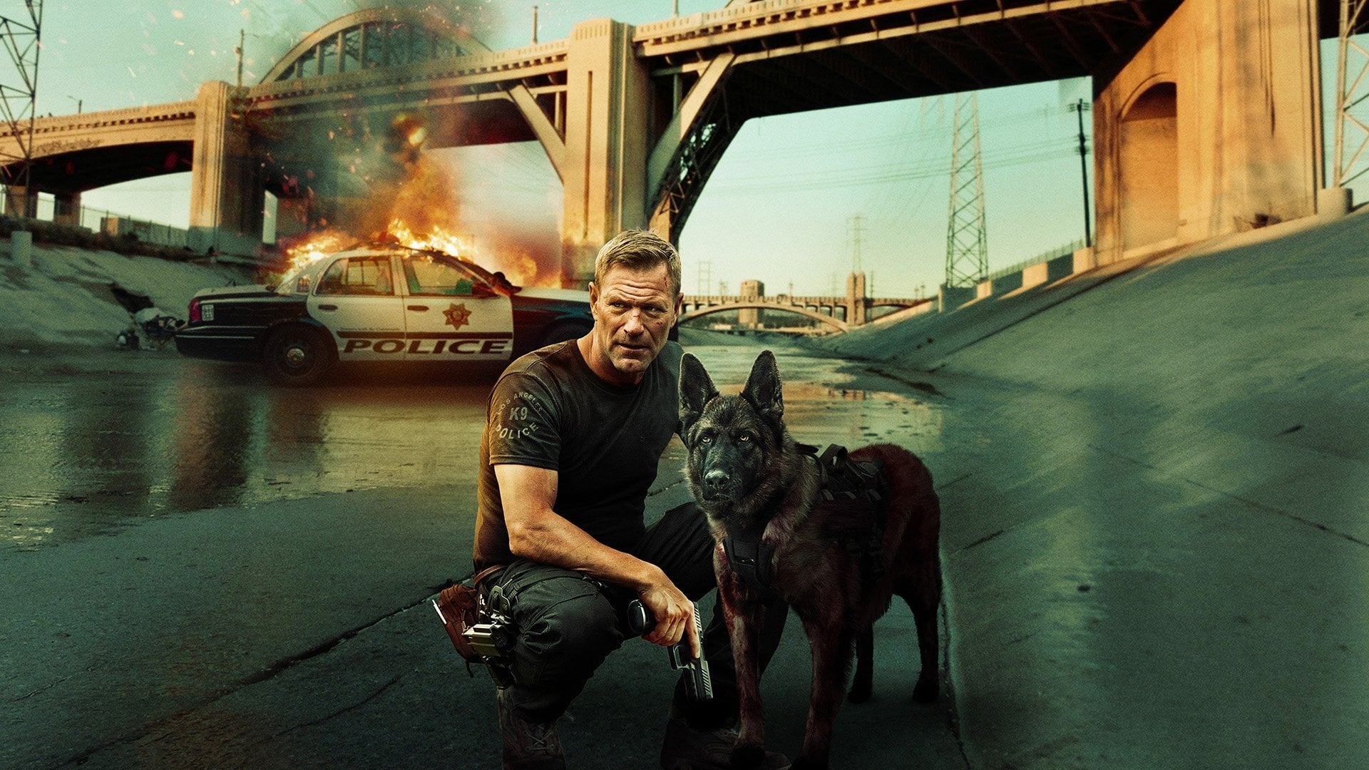 Foto do filme Farejando Vingança