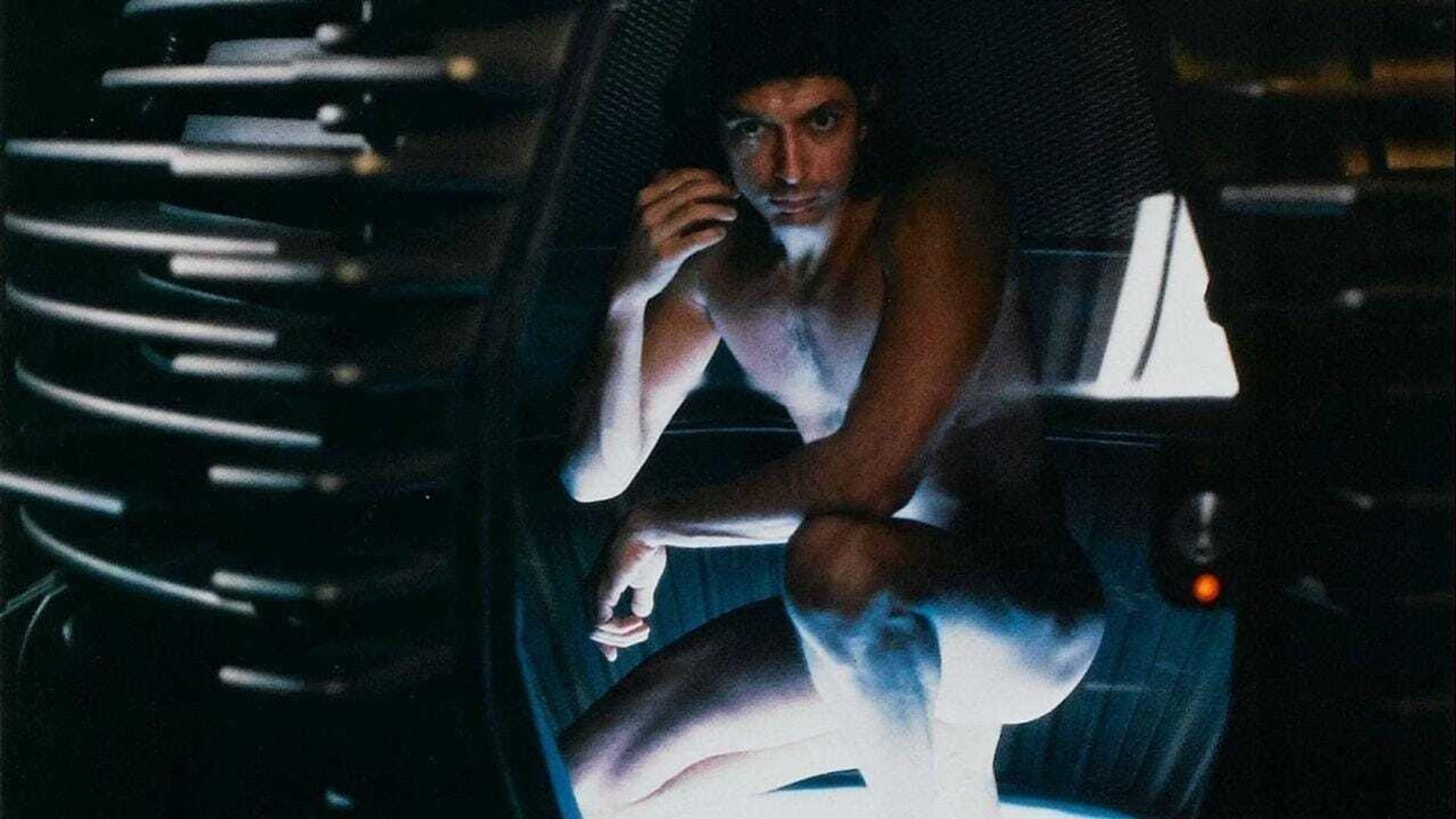 Foto do filme A Mosca