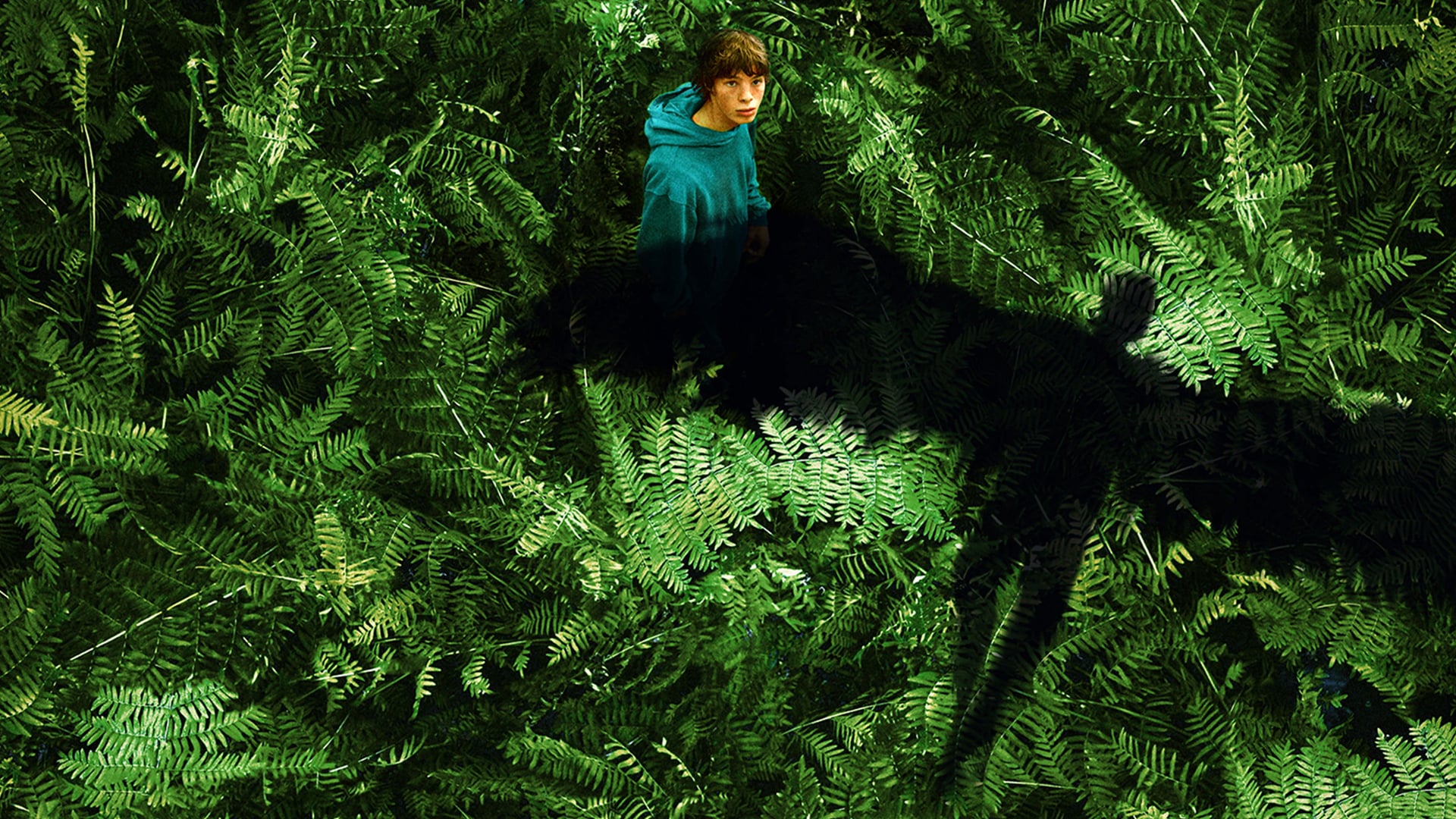 Foto do filme Criaturas Incríveis