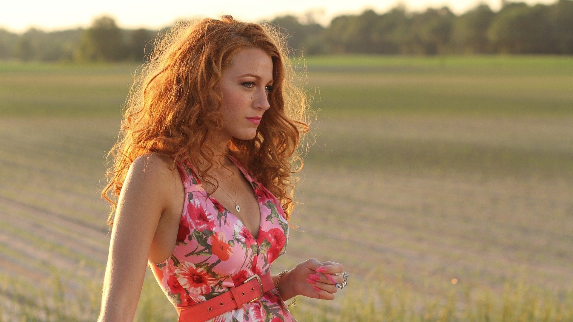 Foto do filme Caipira