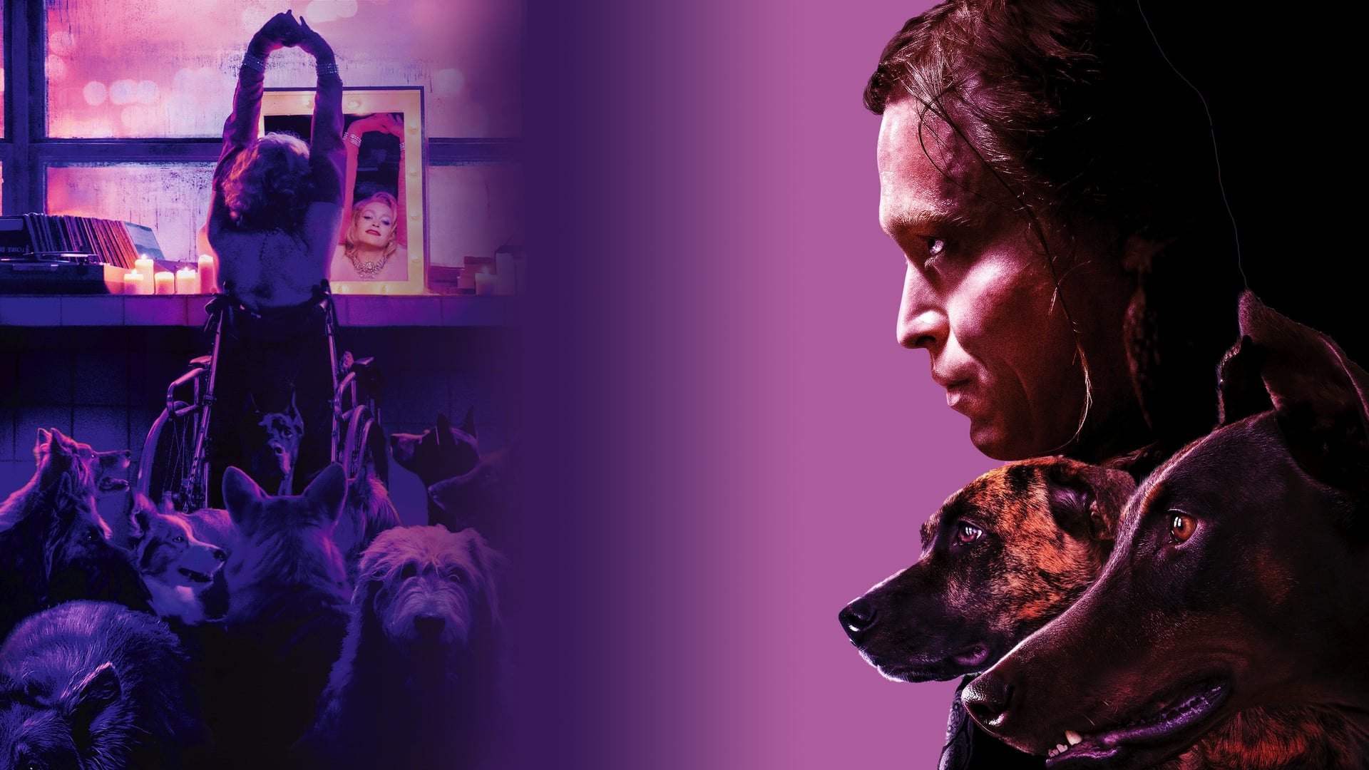 Foto do filme Dogman