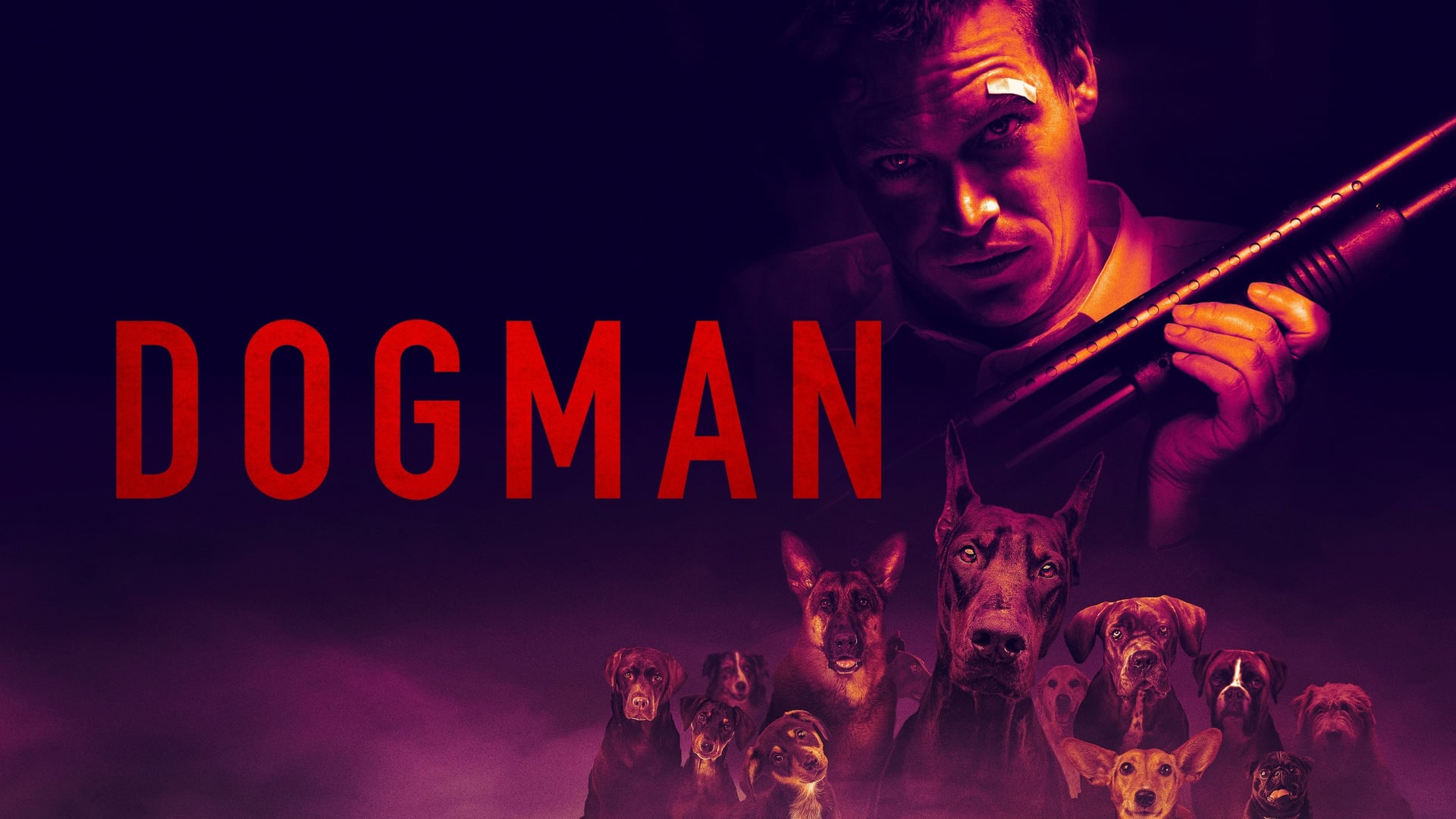 Foto do filme Dogman