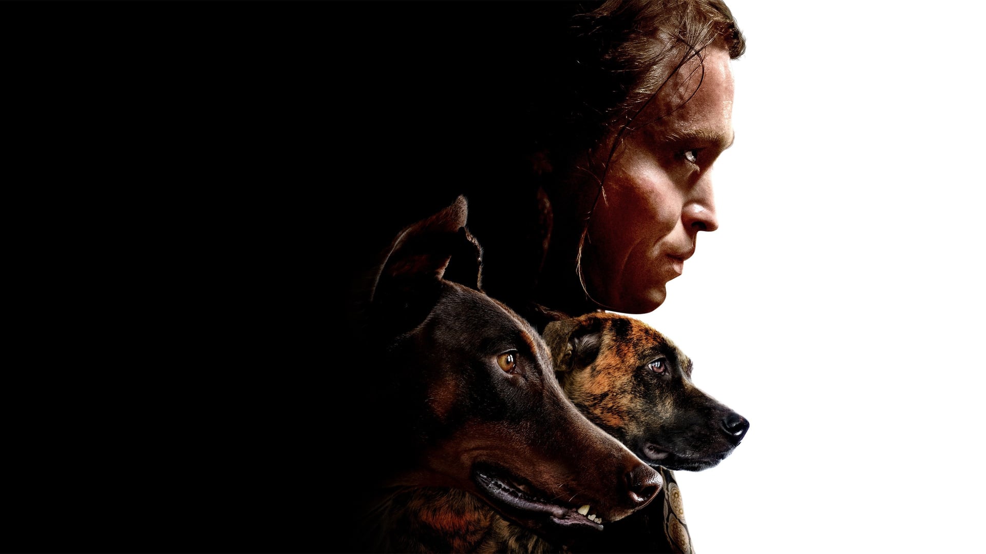 Foto do filme Dogman