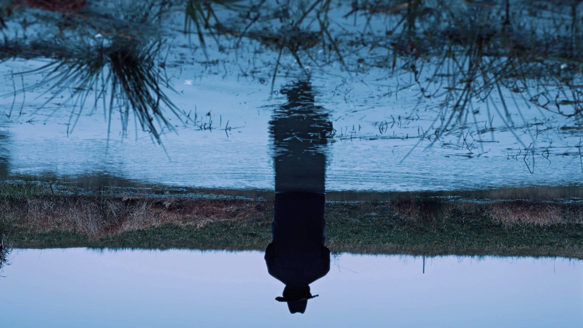 Foto do filme A Short Story