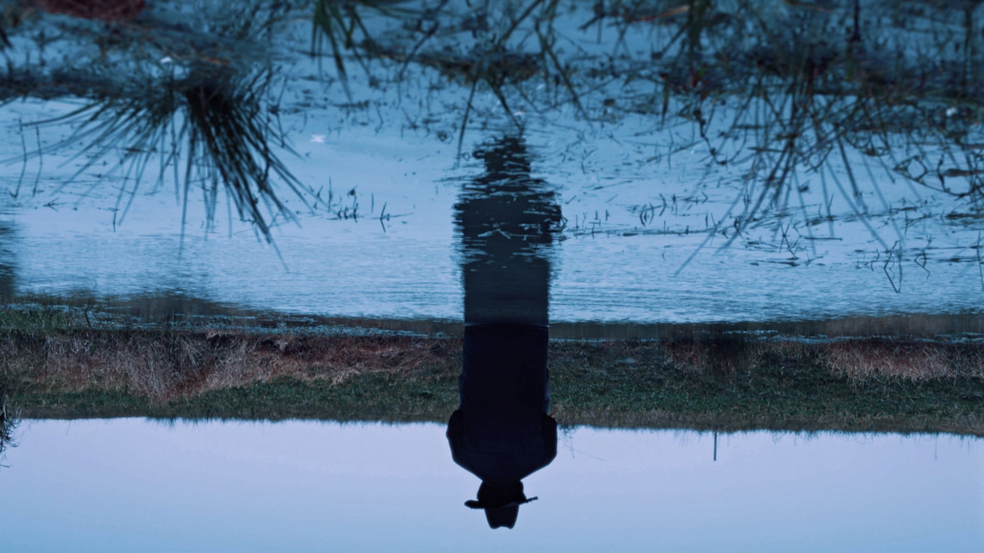 Foto do filme A Short Story