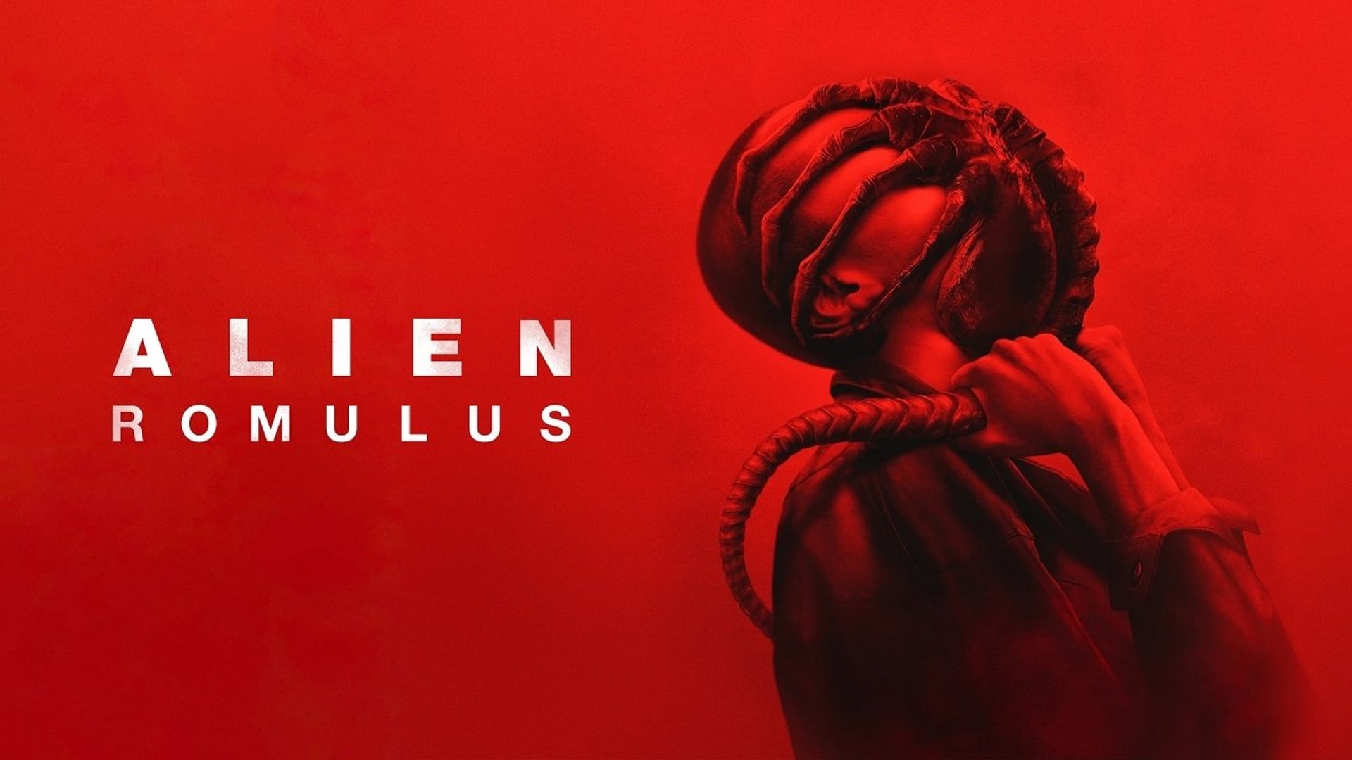 Foto do filme Alien: Romulus