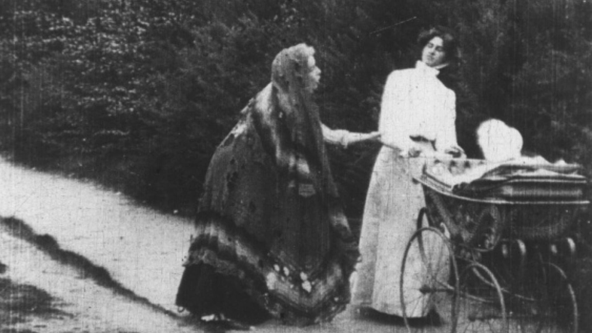 Foto do filme Rescued by Rover