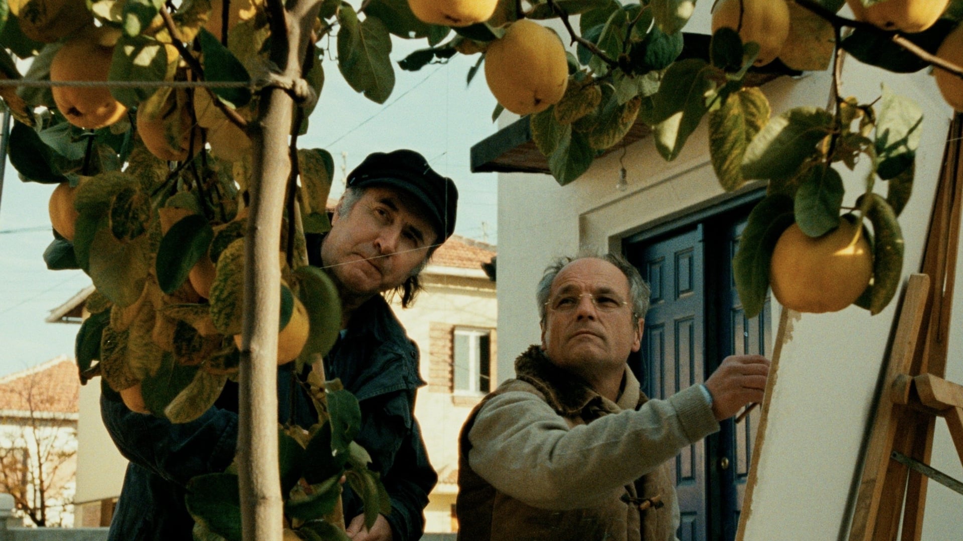 Foto do filme O Sol do Marmelo