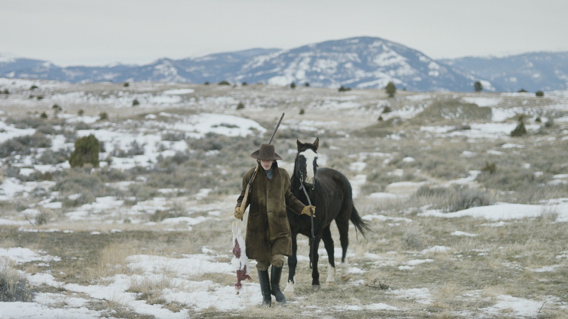 Foto do filme Organ Trail: Sobrevivência