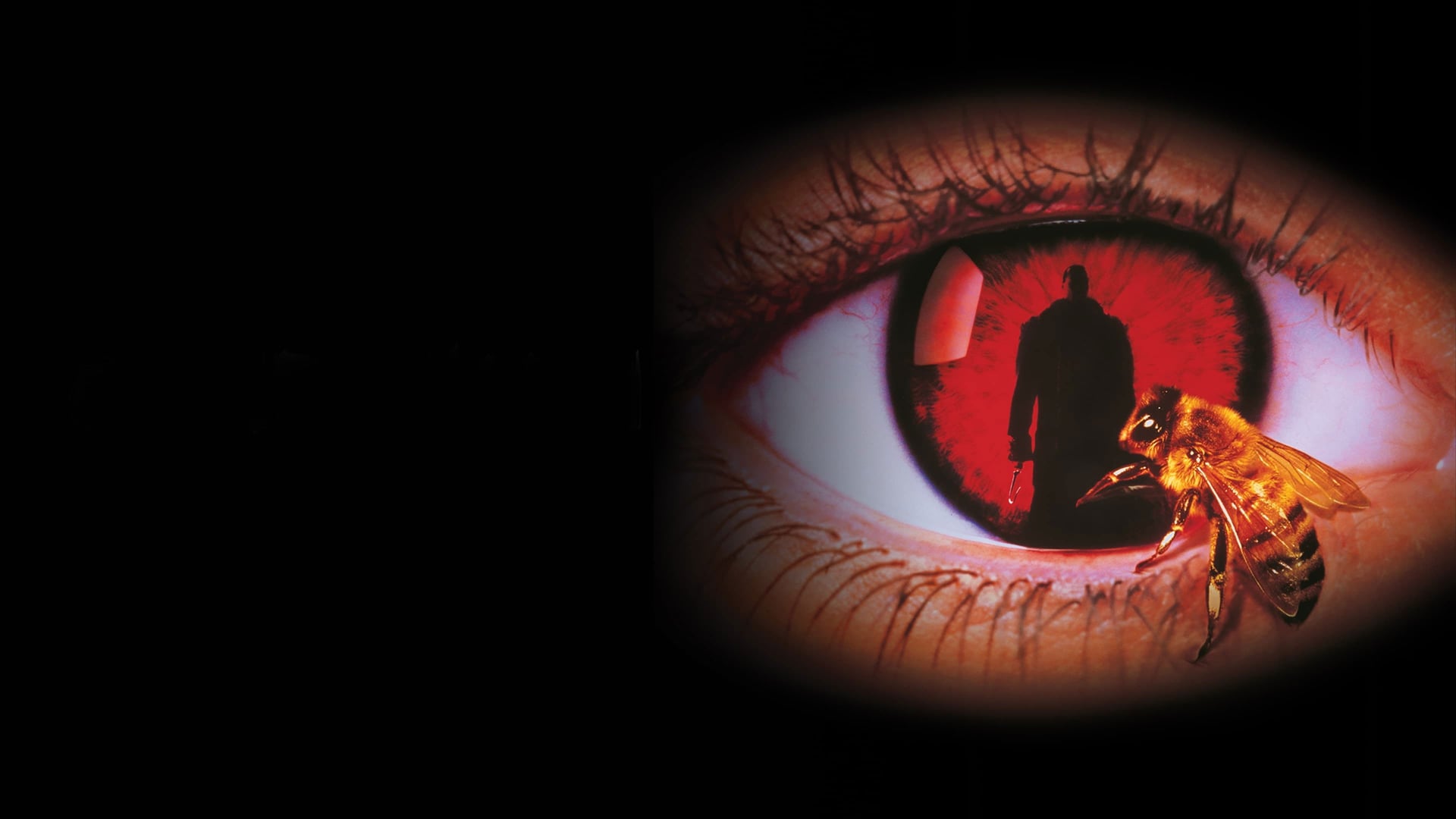 Foto do filme O Mistério de Candyman