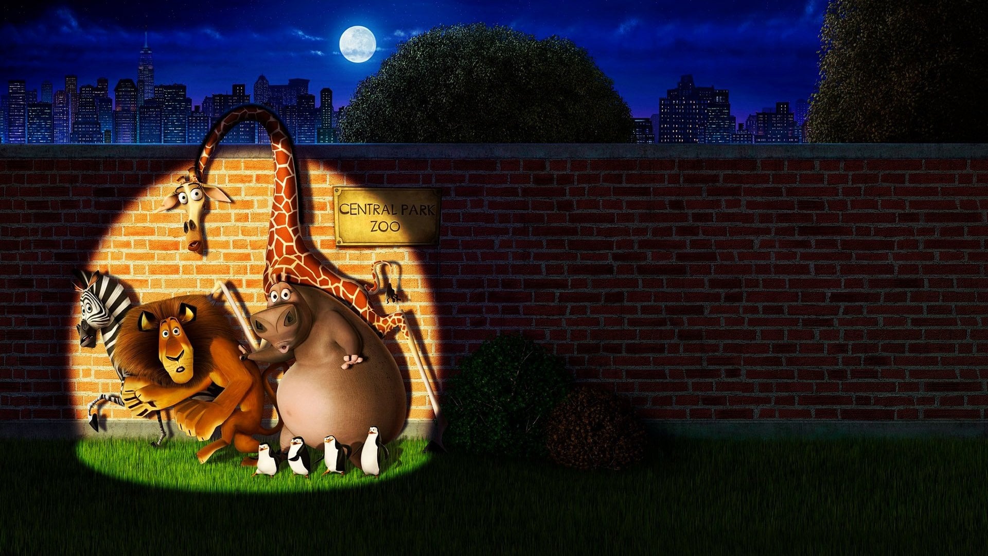Foto do filme Madagascar