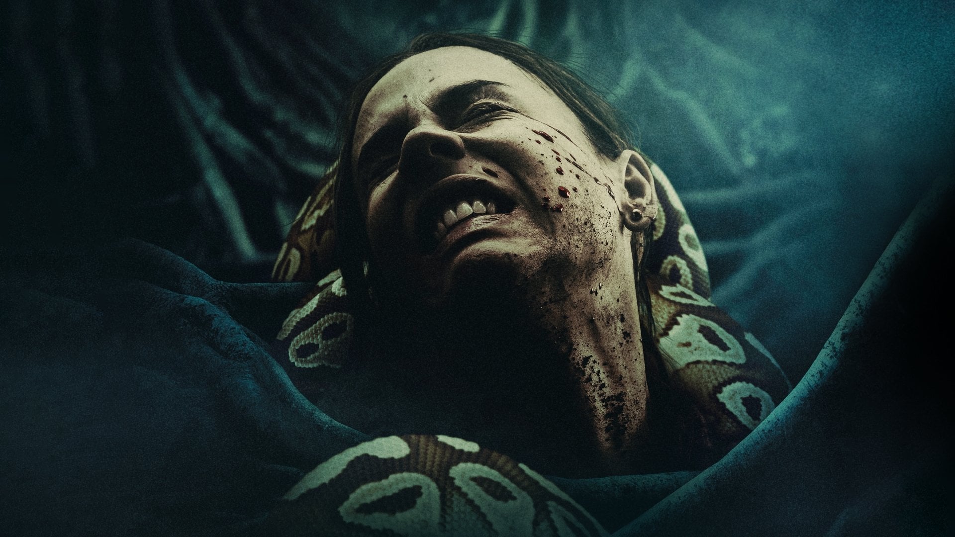 Foto do filme Presos na Floresta: Fuja Se For Capaz