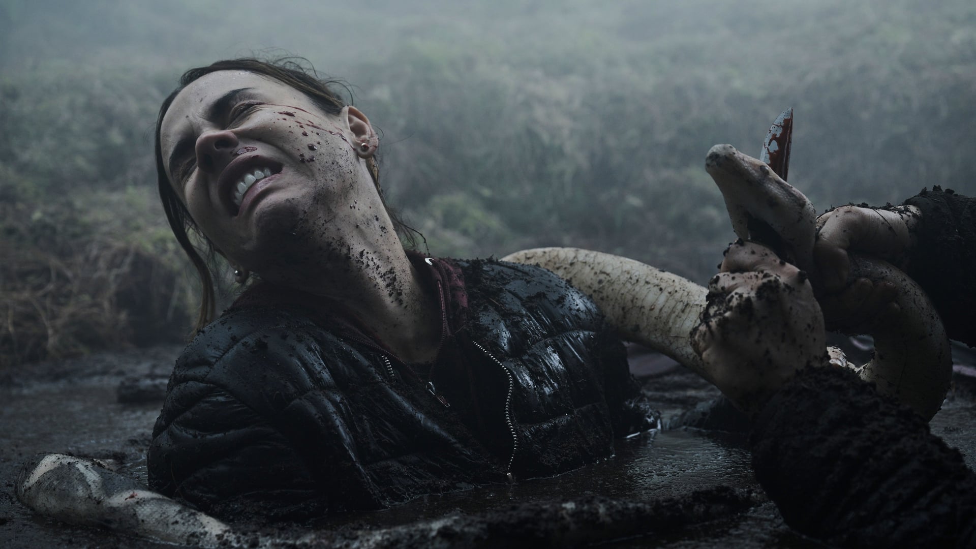 Foto do filme Presos na Floresta: Fuja Se For Capaz