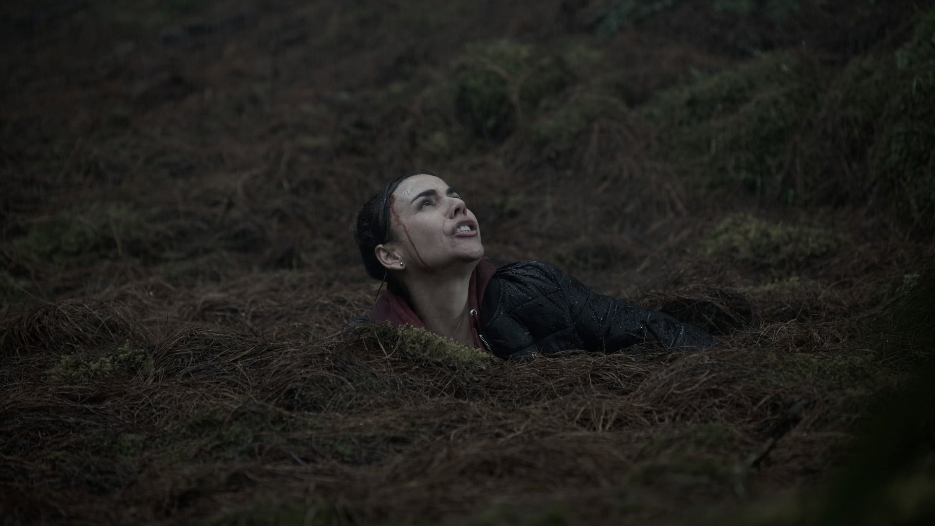 Foto do filme Presos na Floresta: Fuja Se For Capaz