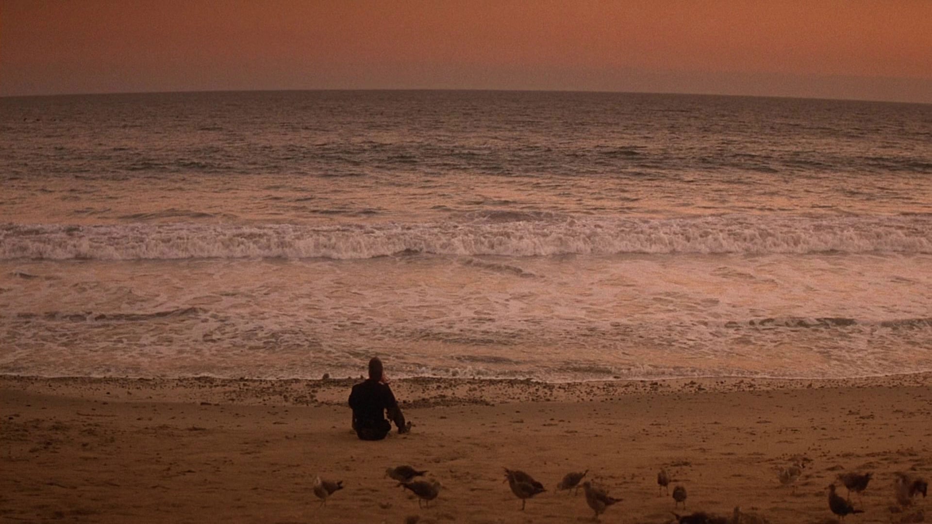 Foto do filme As Aventuras de Ford Fairlane