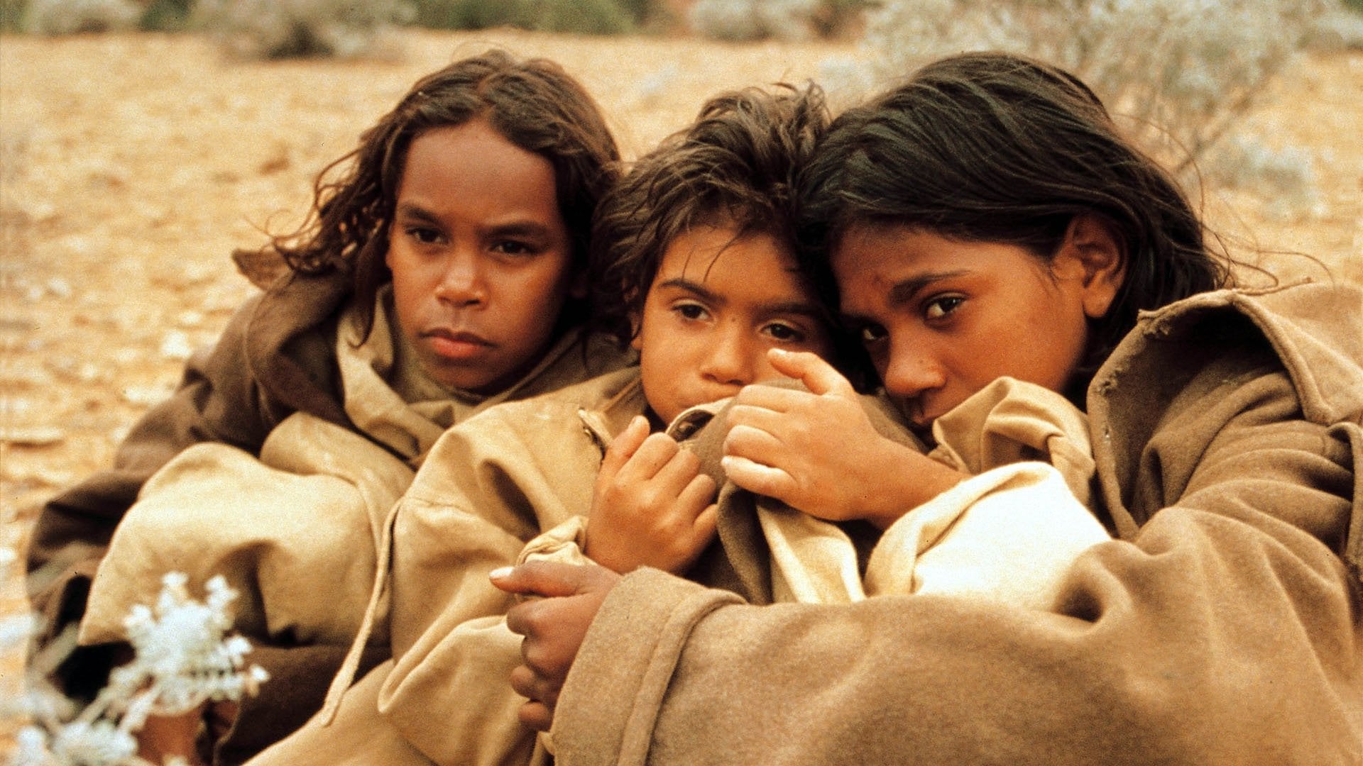 Foto do filme Geração Roubada