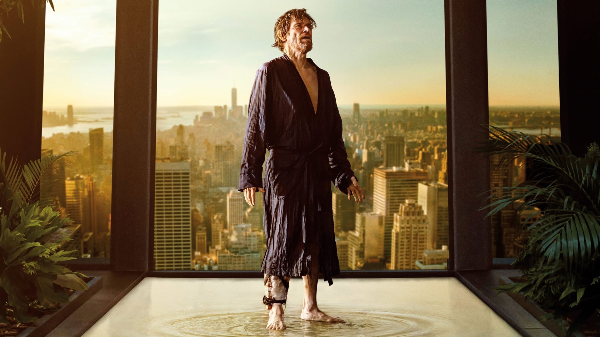 Foto do filme Dentro