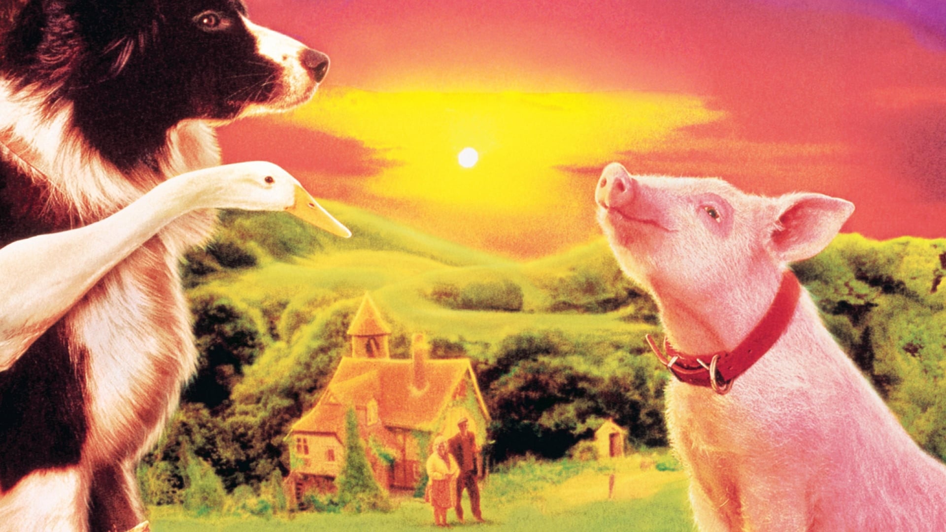 Foto do filme Babe, o Porquinho Atrapalhado