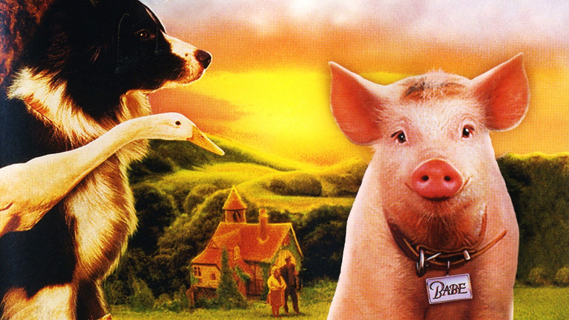 Foto do filme Babe, o Porquinho Atrapalhado