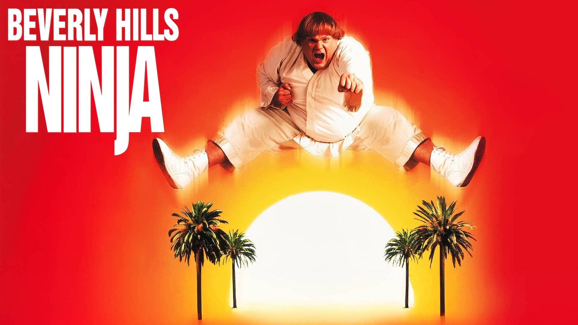 Foto do filme Um Ninja da Pesada