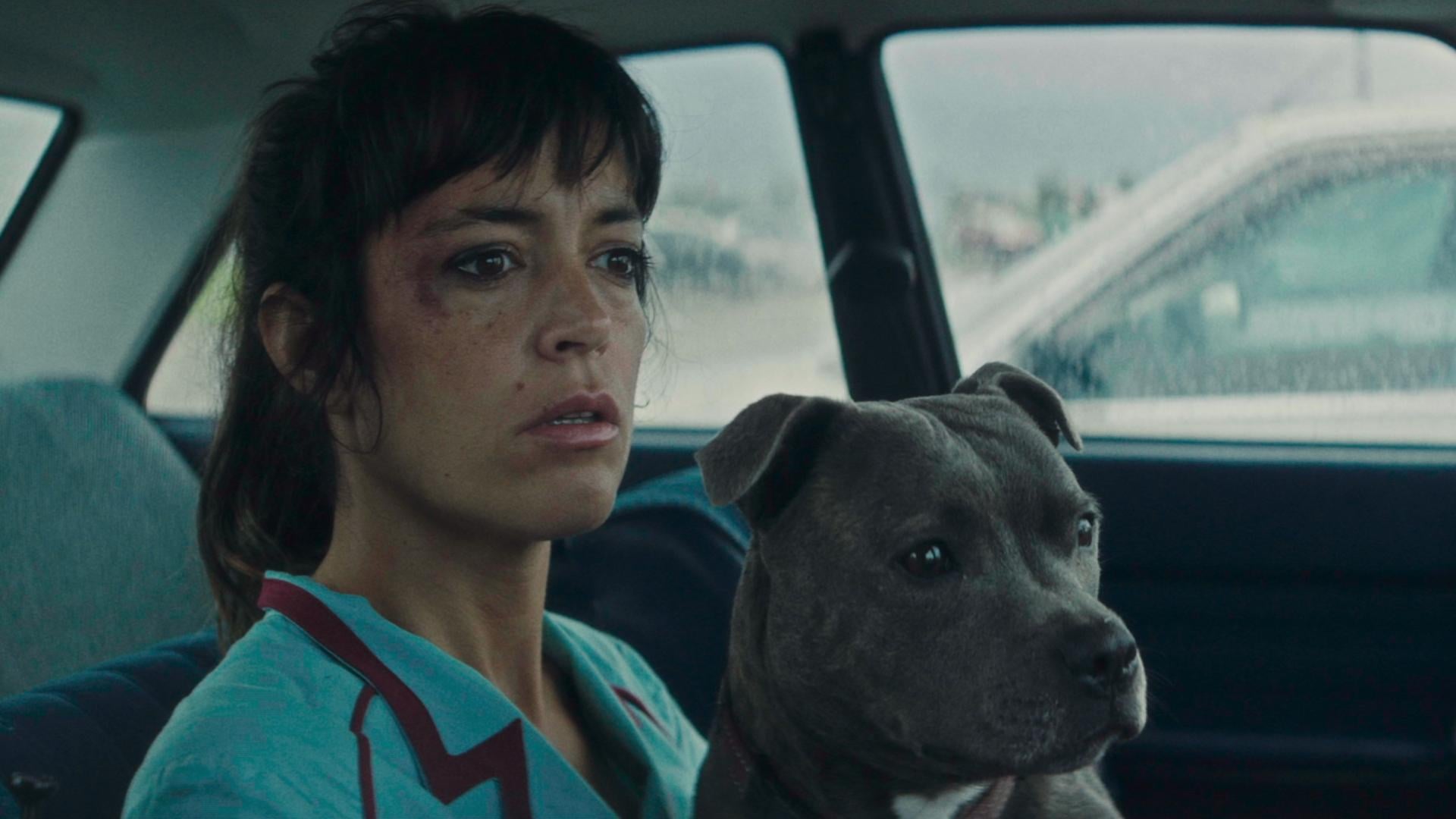 Foto do filme Vincent Tem de Morrer