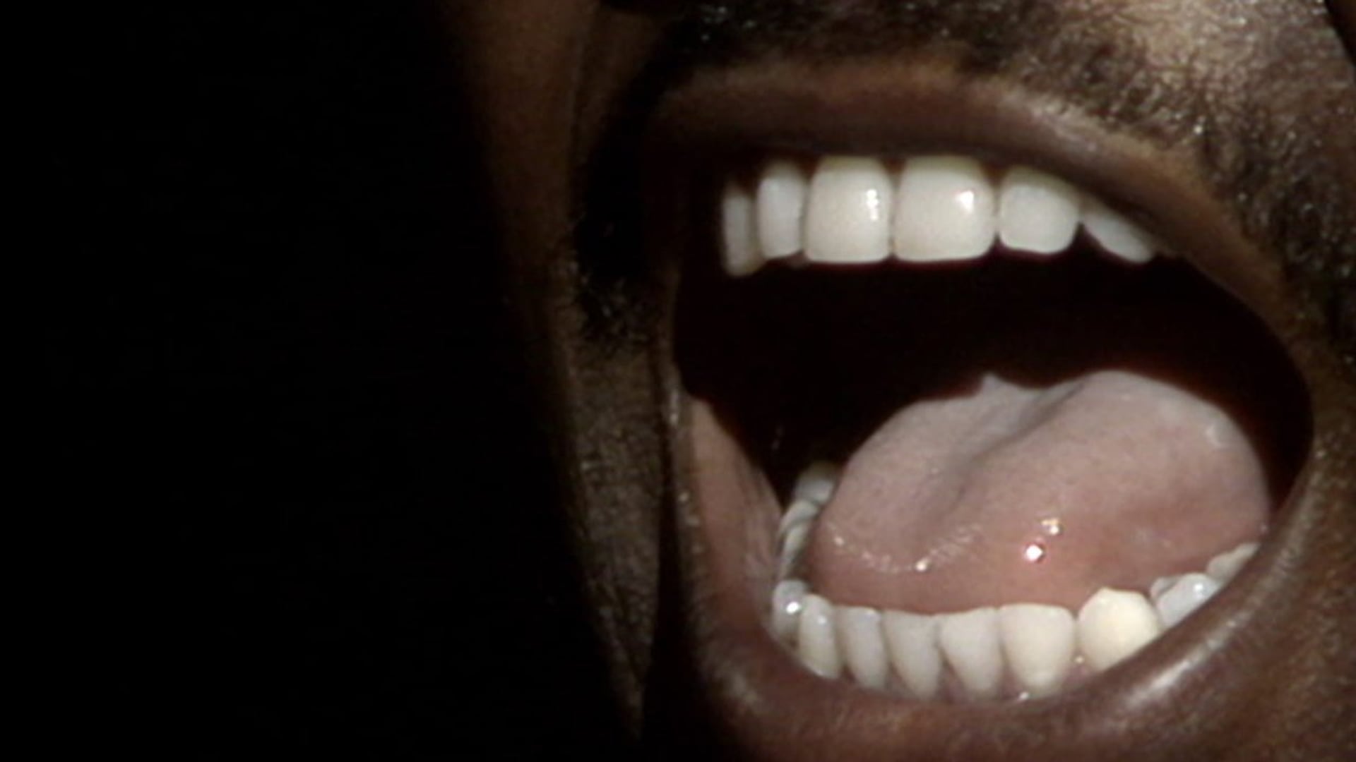 Foto do filme Línguas Desatadas