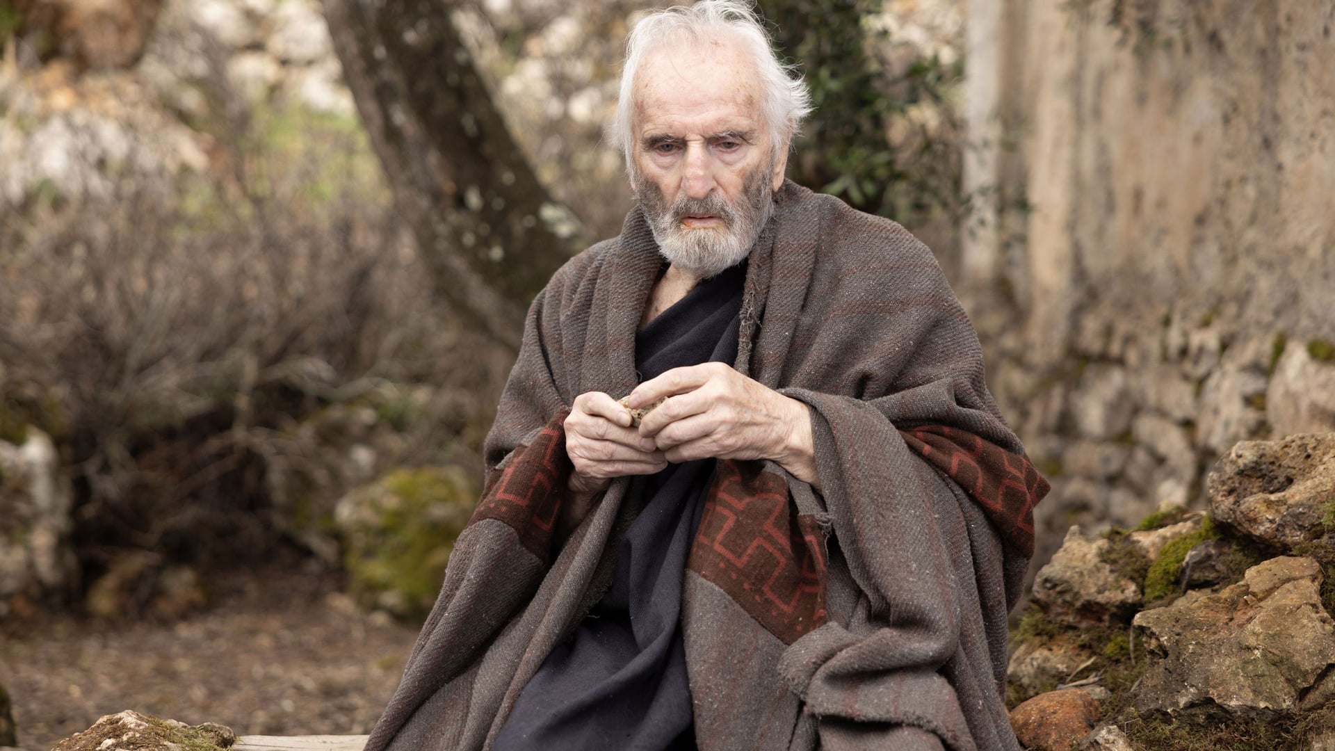 Foto do filme O Retorno