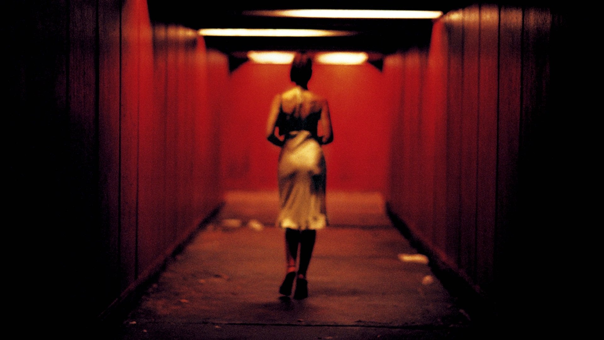 Foto do filme Irreversível