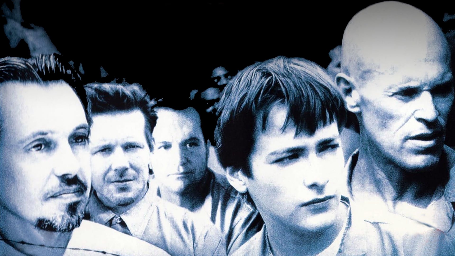 Foto do filme Fábrica de Animais