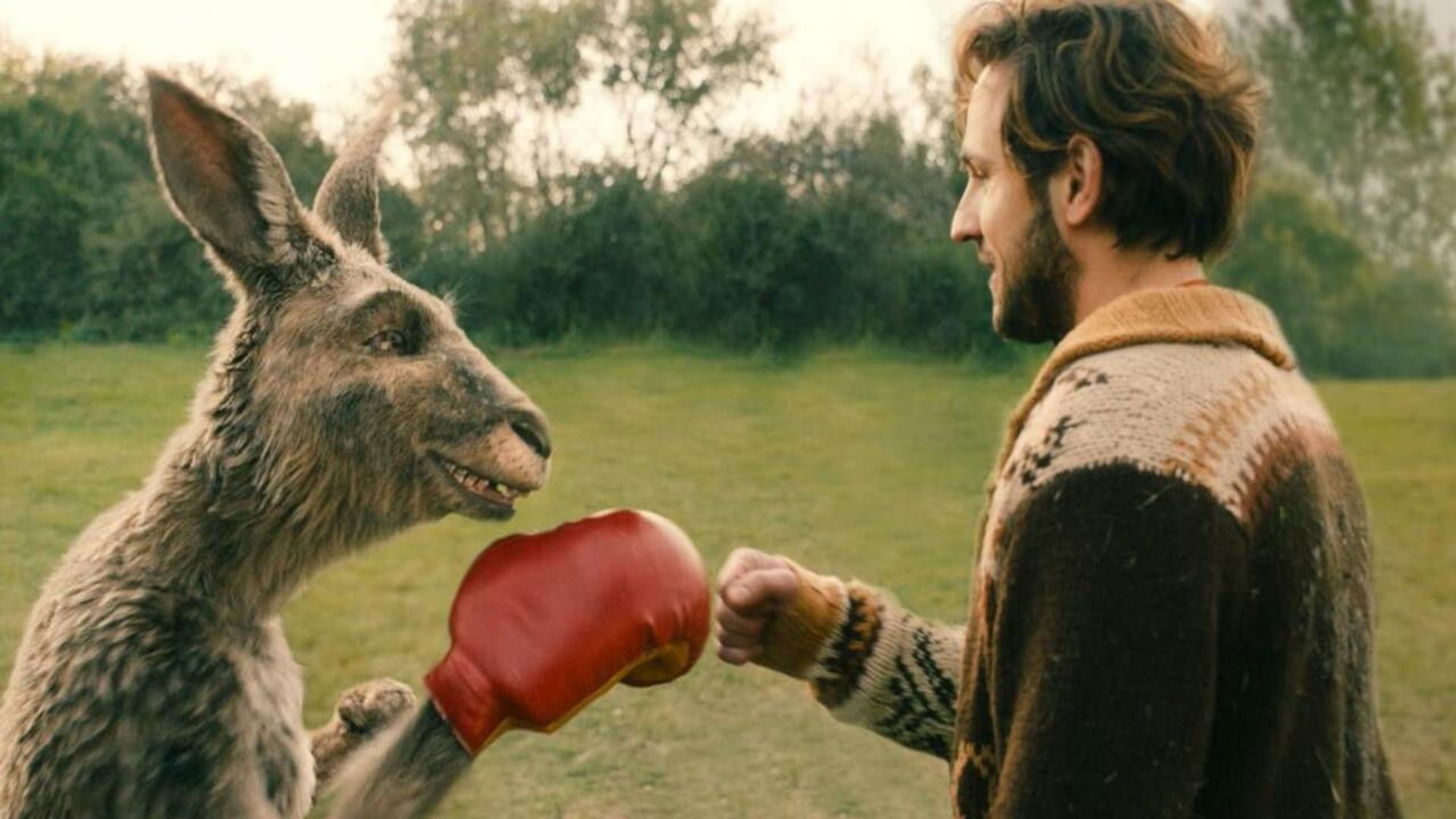 Foto do filme Die Känguru-Verschwörung
