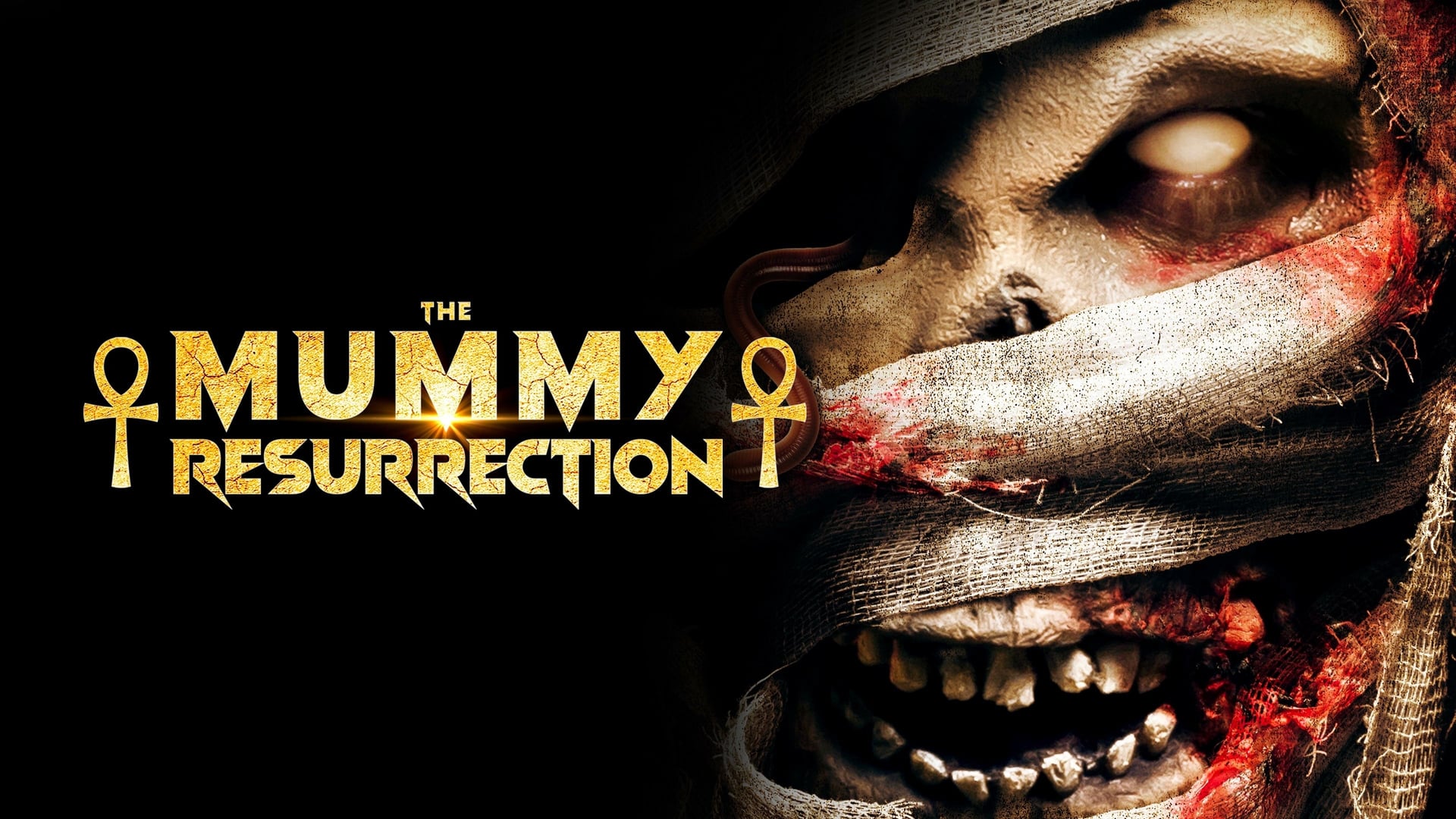 Foto do filme A Ressurreição da Múmia