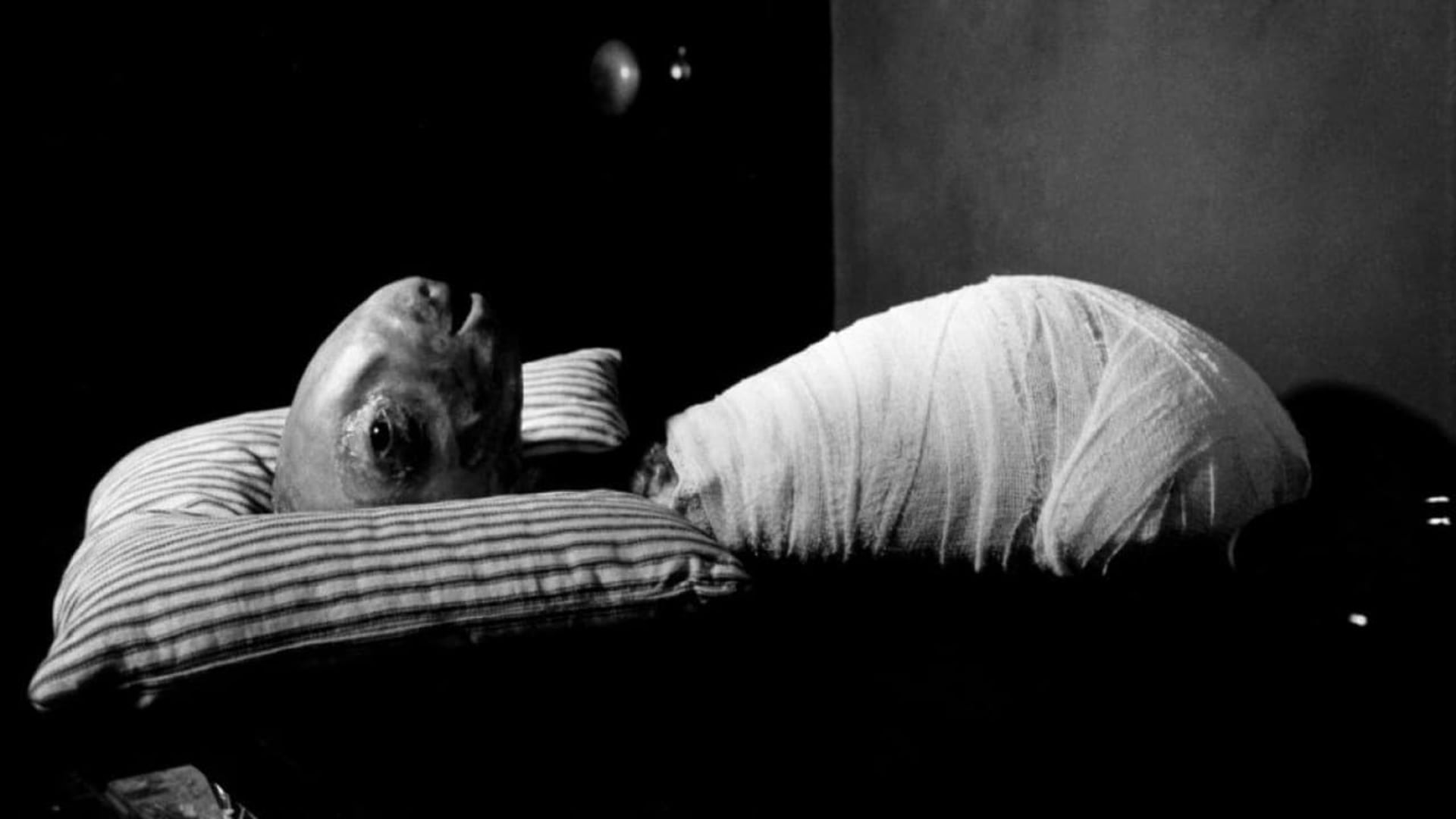 Foto do filme Eraserhead
