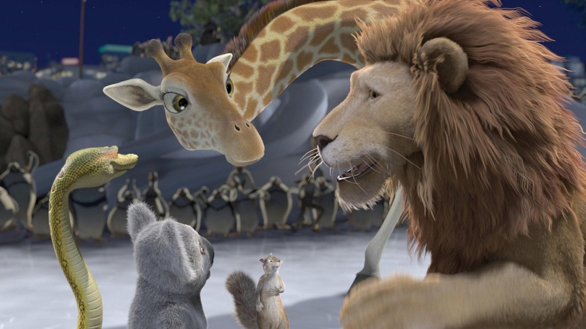 Foto do filme Selvagem