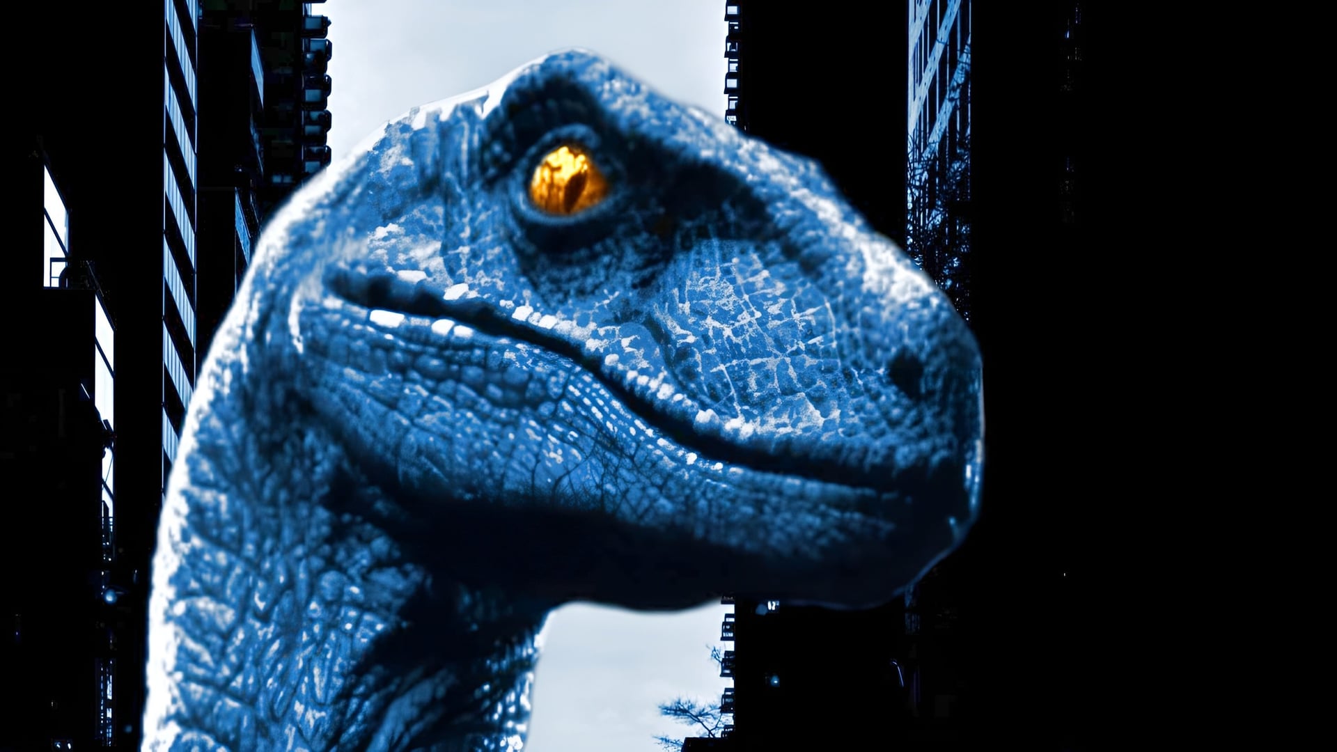 Foto do filme Raptor