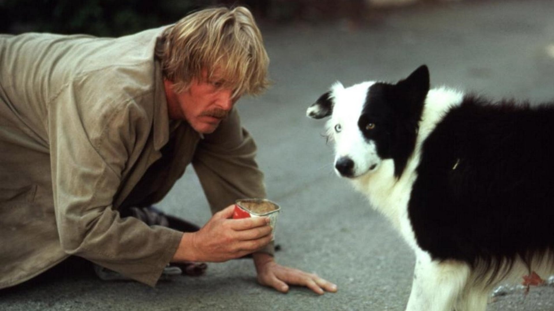 Foto do filme Um Vagabundo na Alta Roda