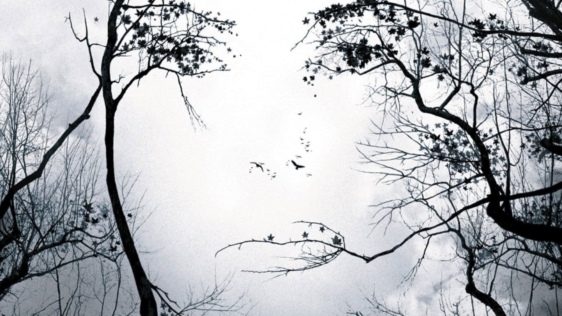 Foto do filme Premonições