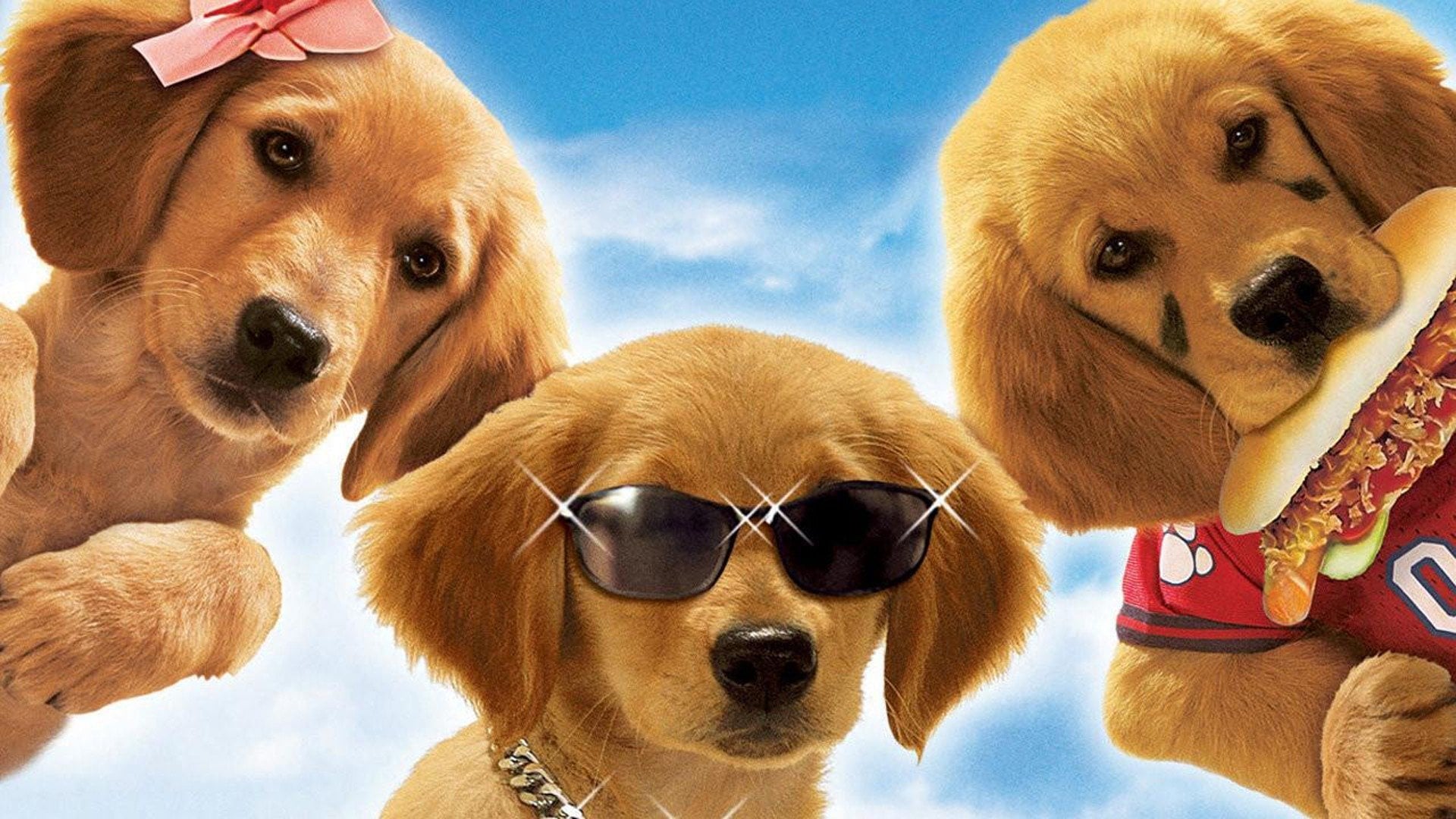 Foto do filme Bud: Uma Nova Cãofusão