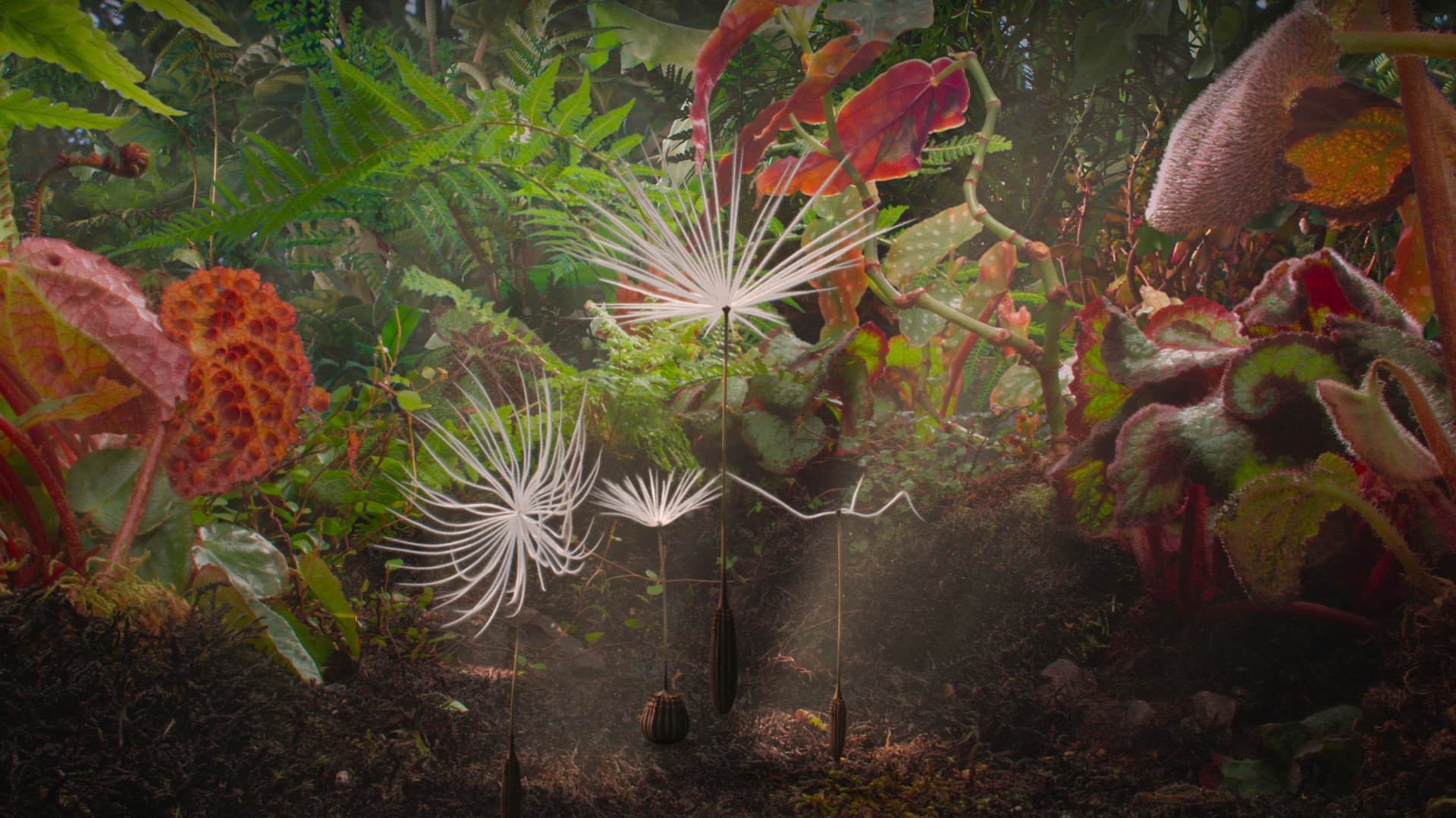 Foto do filme Planètes
