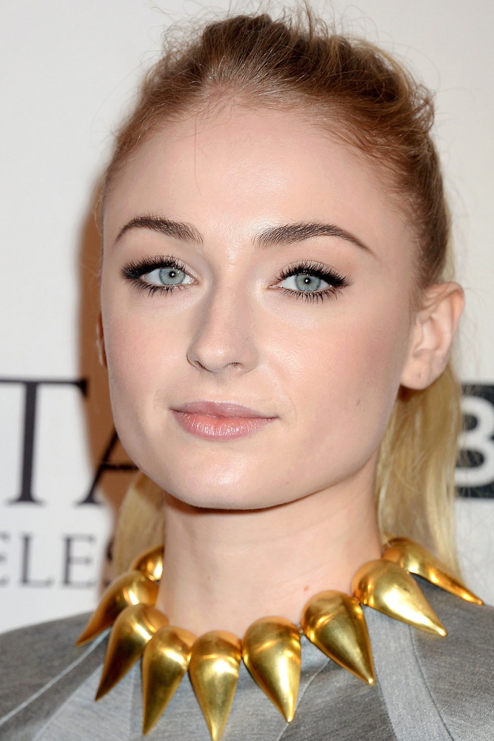 Foto de Sophie Turner