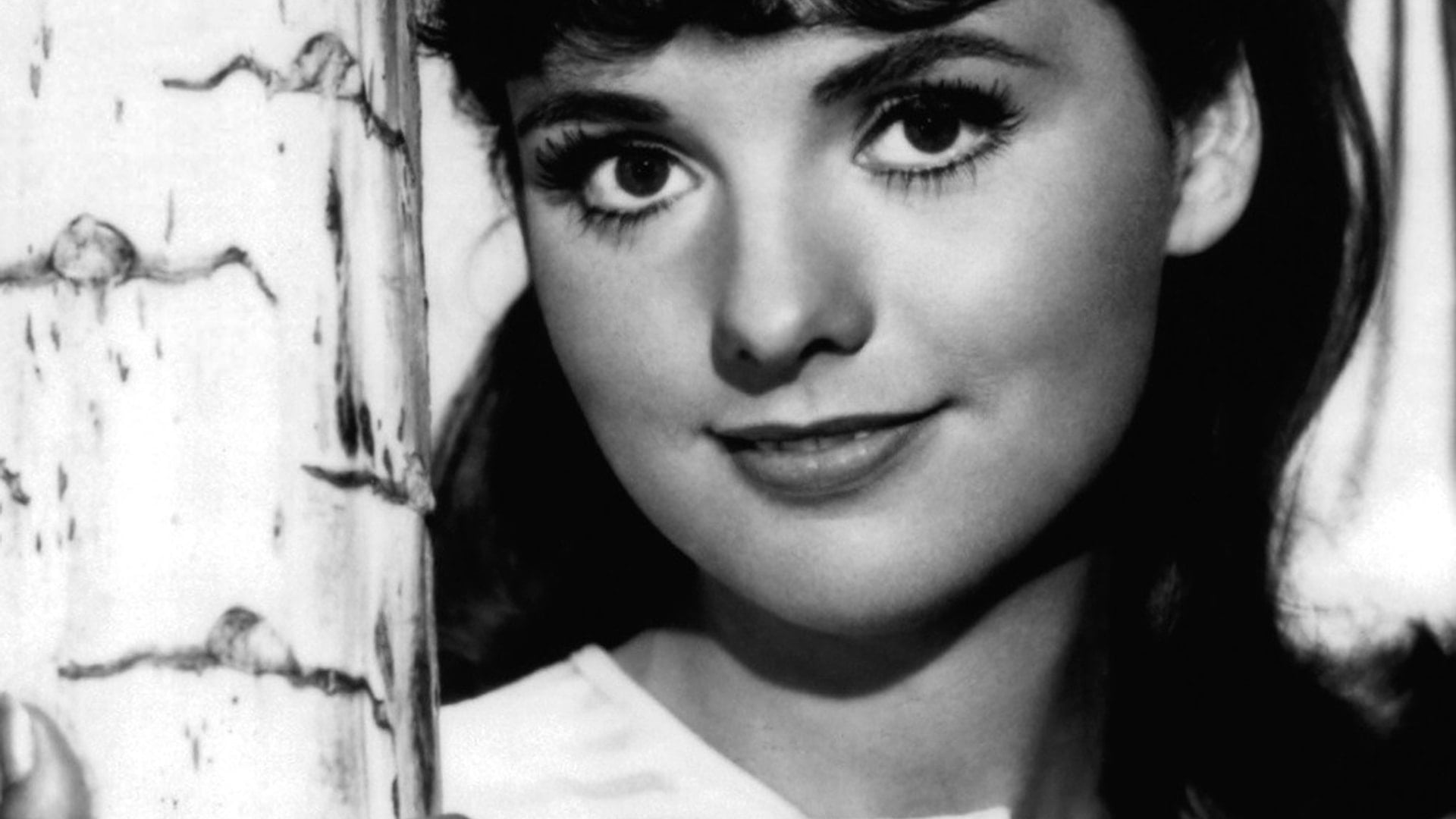 Foto de Dawn Wells