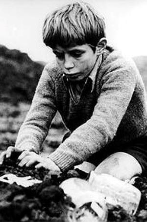 Foto de Stephen Archibald