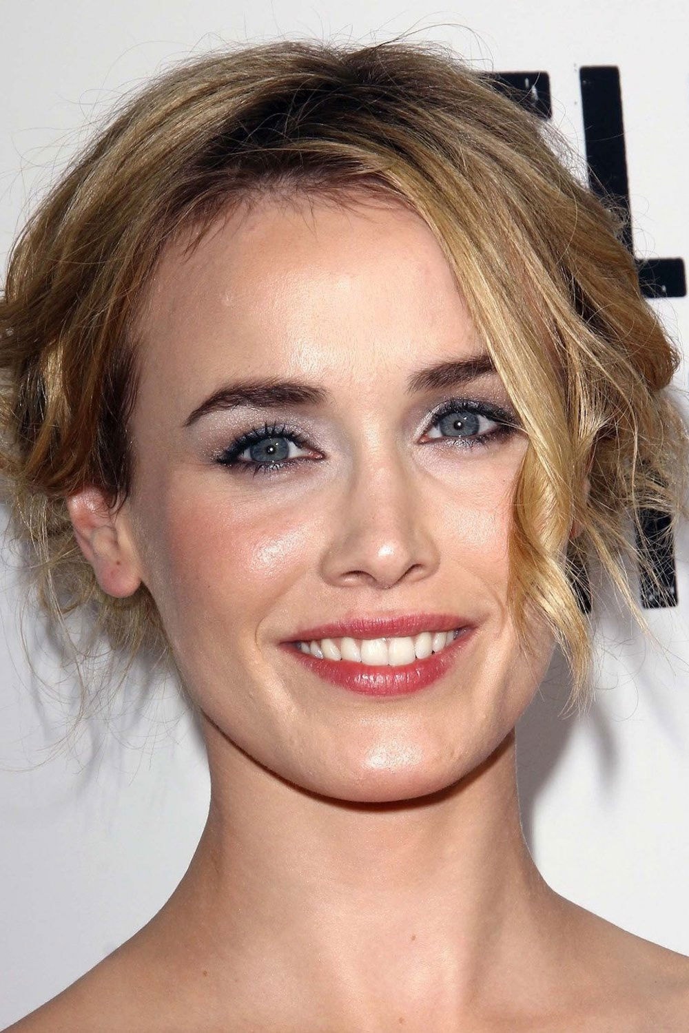 Foto de Dominique McElligott