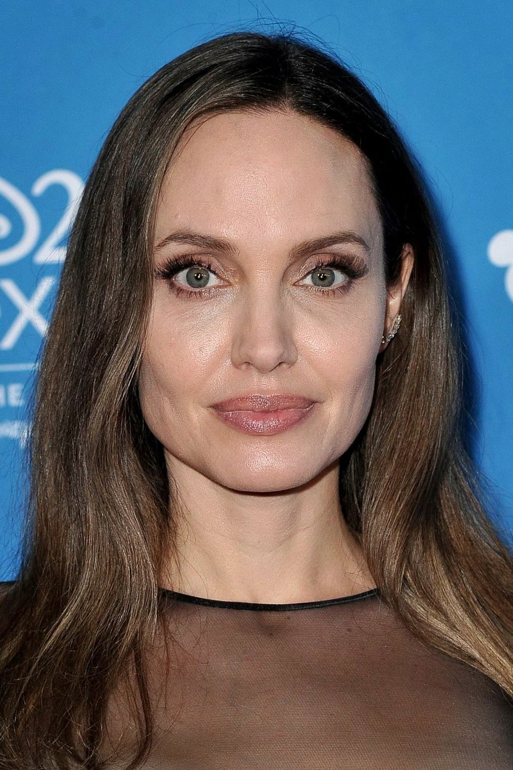 Foto de Angelina Jolie