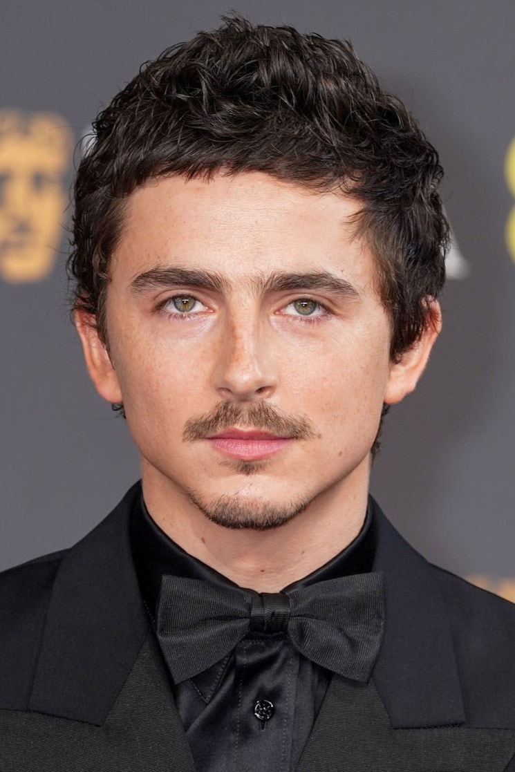 Foto de Timothée Chalamet