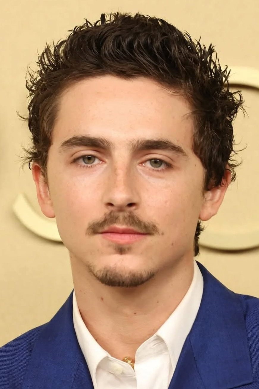 Foto de Timothée Chalamet